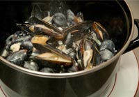 Moules-frites